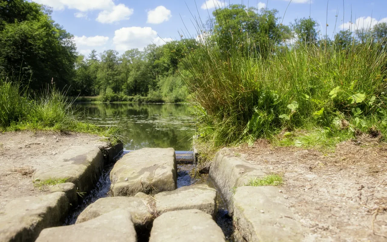 Springendal bij Ootmarsum